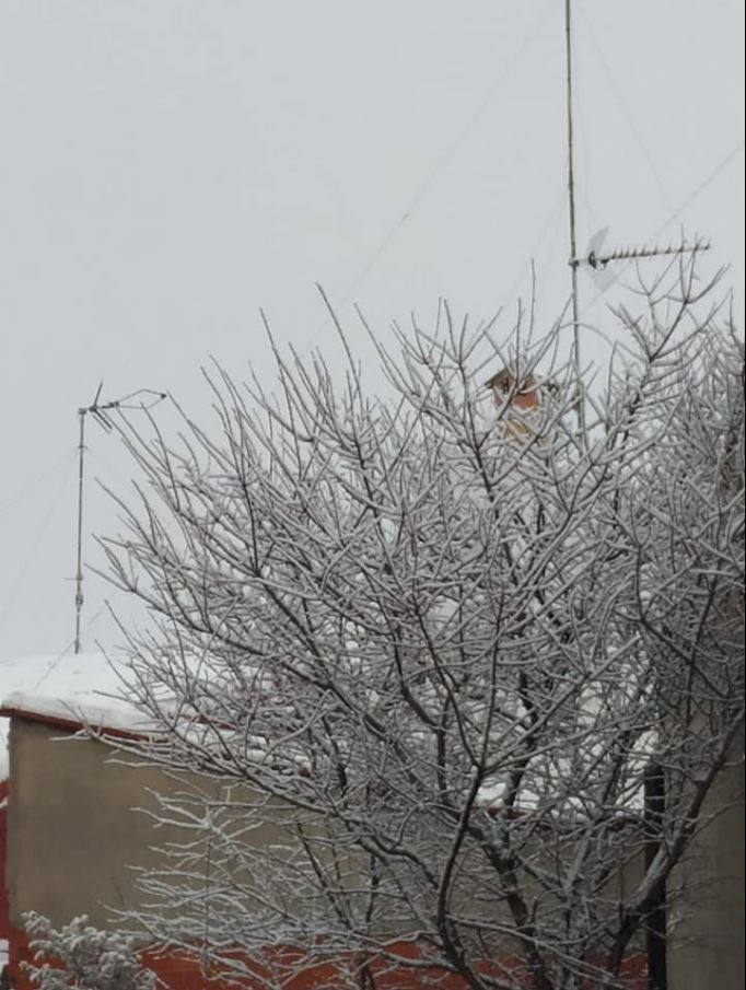 Camporrobles: El primer temporal del invierno entra en la Comunitat cubriendo de blanco buena parte del interior de las provincias de Castellón, Valencia y Alicante. Aemet ha aumentado el aviso naranja previsto ya que los acumulados podrían ser considerables, de hasta quince centímetros. La borrasca no abandonará el territorio regional hasta el próximo sábado.