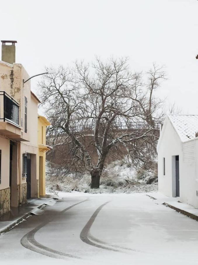 Camporrobles: El primer temporal del invierno entra en la Comunitat cubriendo de blanco buena parte del interior de las provincias de Castellón, Valencia y Alicante. Aemet ha aumentado el aviso naranja previsto ya que los acumulados podrían ser considerables, de hasta quince centímetros. La borrasca no abandonará el territorio regional hasta el próximo sábado.