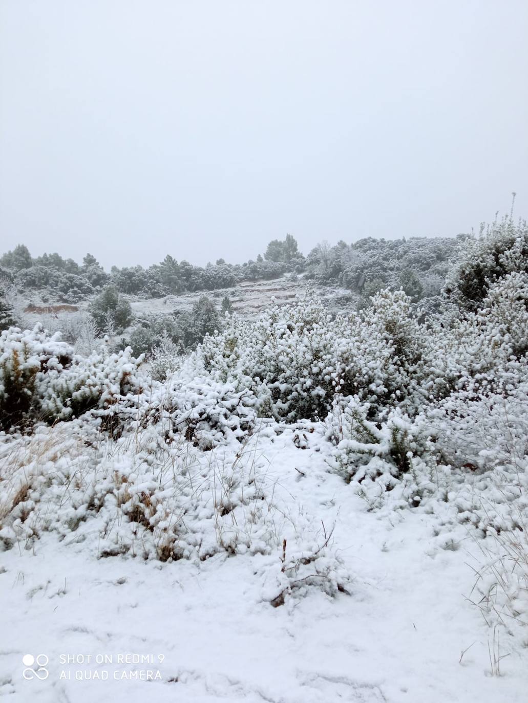 Lucena: El primer temporal del invierno entra en la Comunitat cubriendo de blanco buena parte del interior de las provincias de Castellón, Valencia y Alicante. Aemet ha aumentado el aviso naranja previsto ya que los acumulados podrían ser considerables, de hasta quince centímetros. La borrasca no abandonará el territorio regional hasta el próximo sábado.