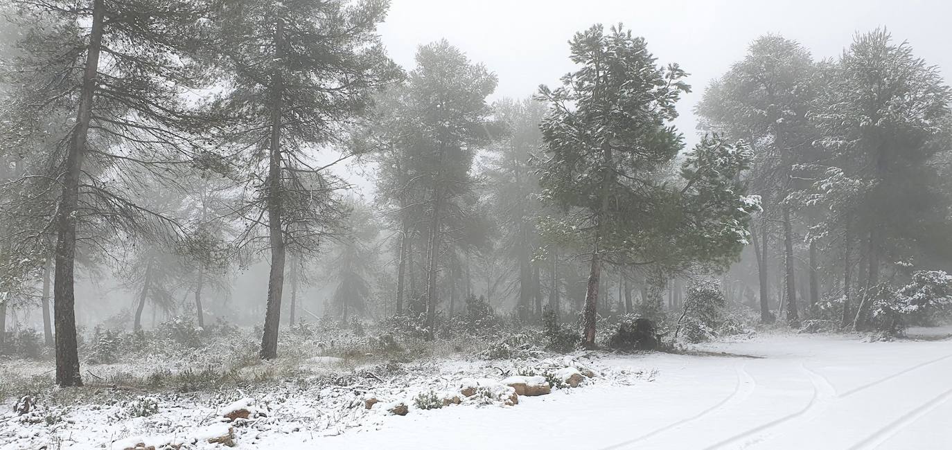 Sierra Mariola: El primer temporal del invierno entra en la Comunitat cubriendo de blanco buena parte del interior de las provincias de Castellón, Valencia y Alicante. Aemet ha aumentado el aviso naranja previsto ya que los acumulados podrían ser considerables, de hasta quince centímetros. La borrasca no abandonará el territorio regional hasta el próximo sábado.