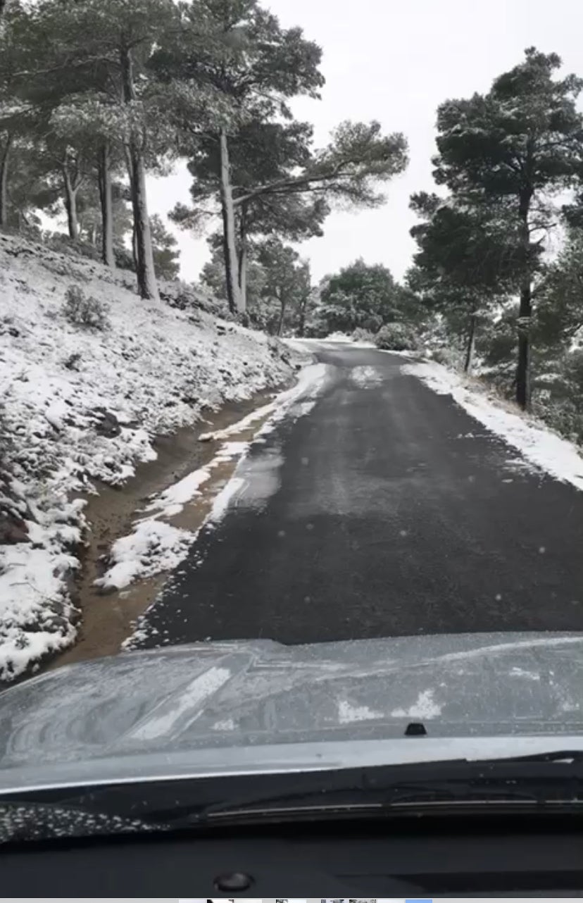 Fotos: Los efectos del temporal Filomena, este viernes en la Comunitat