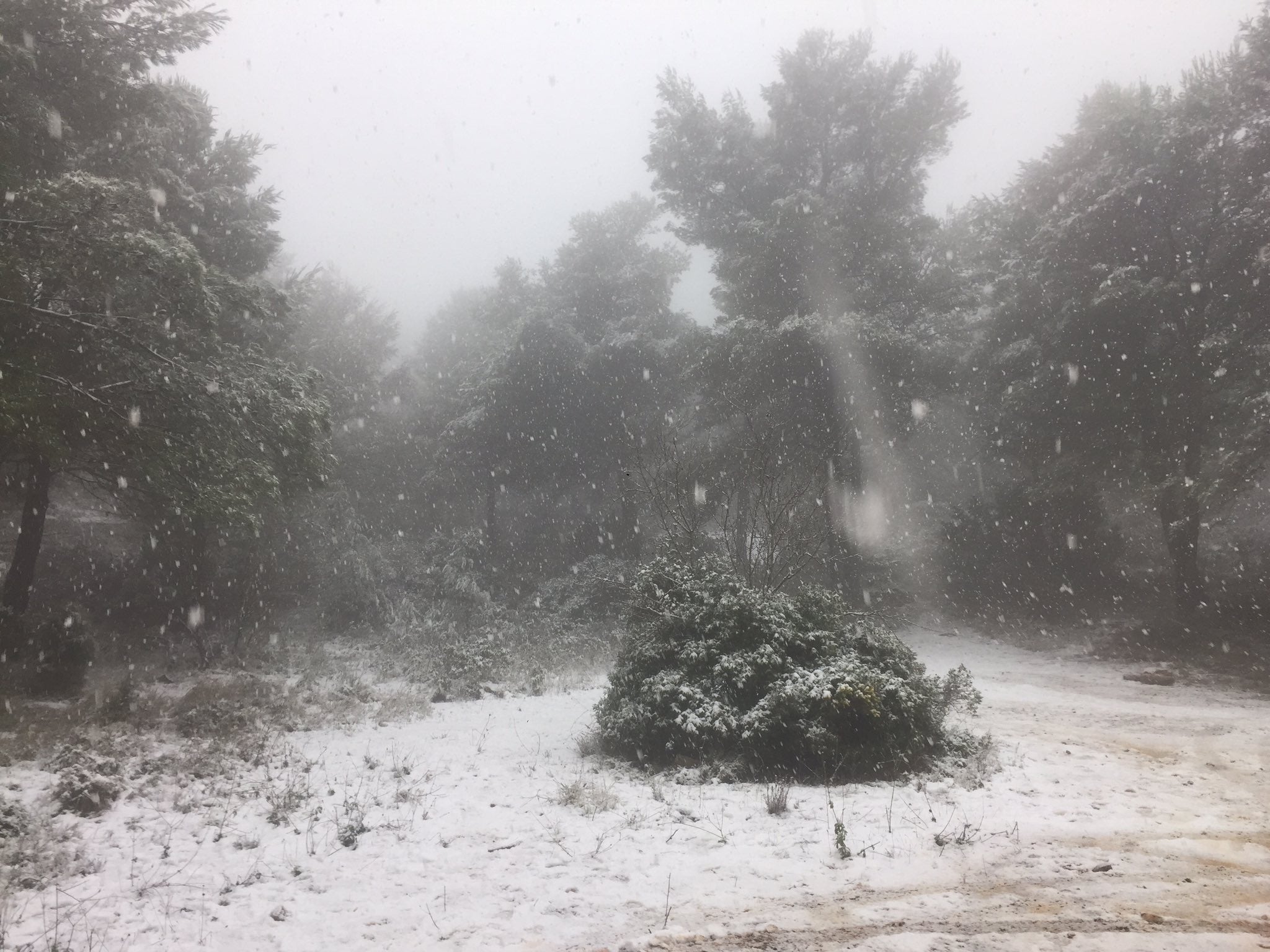 Fotos: Los efectos del temporal Filomena, este viernes en la Comunitat