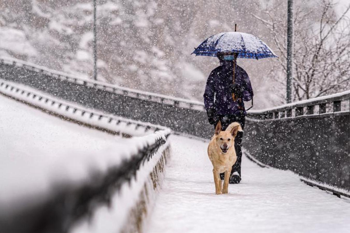 Temporal de nieve en la comunidad autónoma de Castilla-La Mancha.