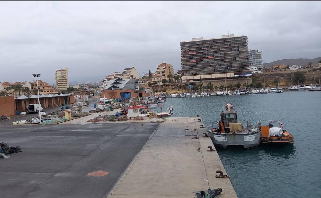 Embarcaciones de artes menores de El Campello amarradas en puerto.