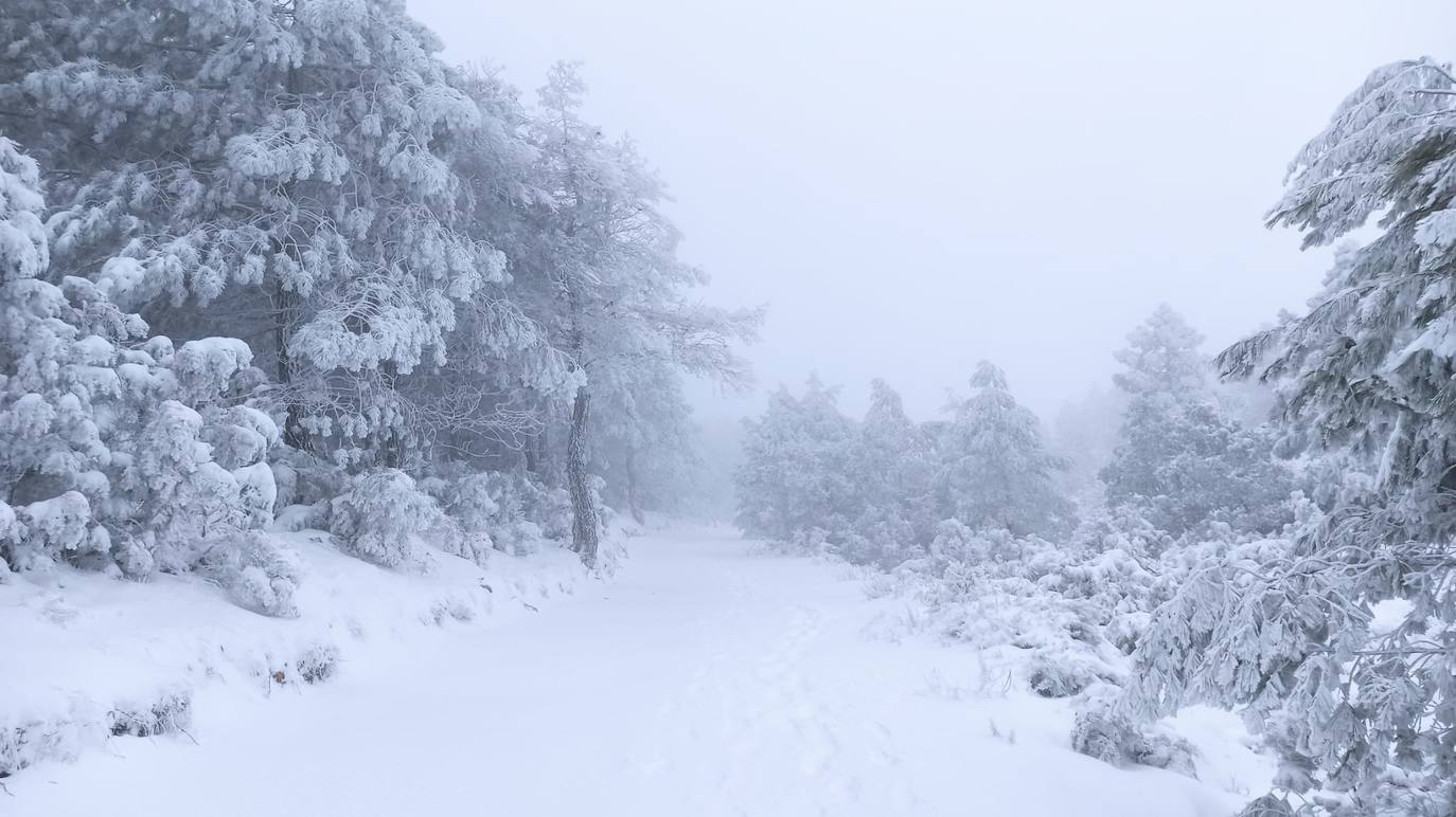 Imagen de la nevada en un monte de Requena