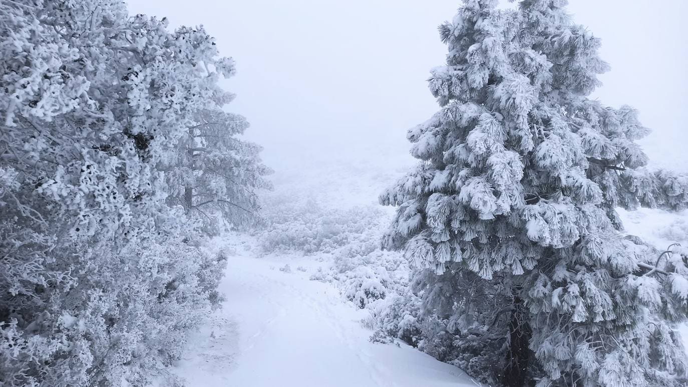 Imagen de la nevada en un monte de Requena