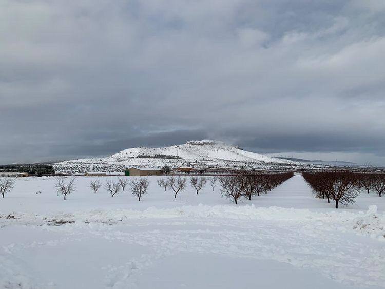 La borrasca 'Filomena' sigue descargando con fuerza sobre la Comunitat Valenciana este domingo. Nieve, hielo y lluvia en una jornada en la que los servicios de emergencia trabajan para minimizar los daños causados por el temporal