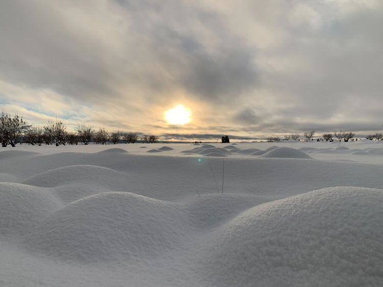 La borrasca 'Filomena' sigue descargando con fuerza sobre la Comunitat Valenciana este domingo. Nieve, hielo y lluvia en una jornada en la que los servicios de emergencia trabajan para minimizar los daños causados por el temporal