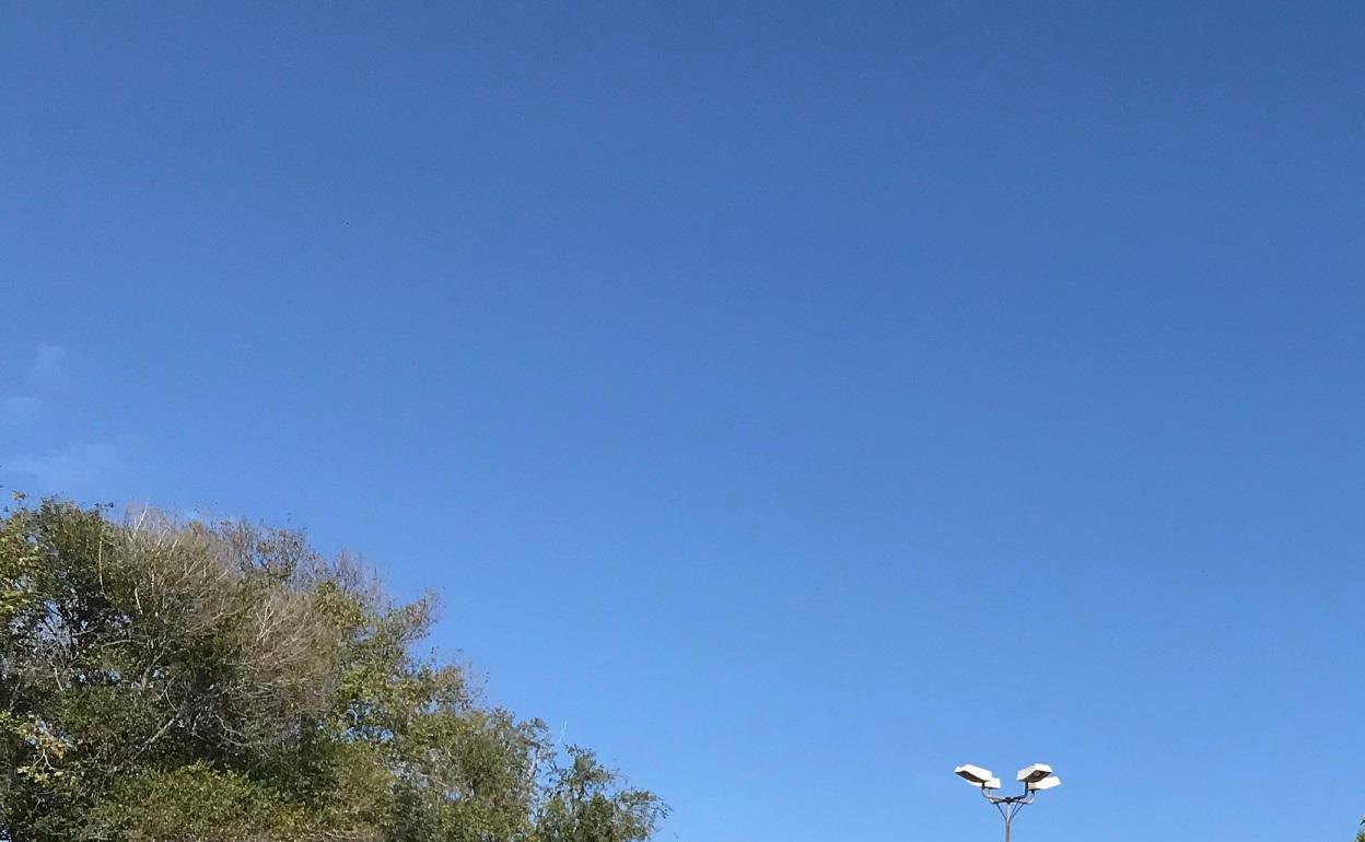 Contenedores en Carlet. 