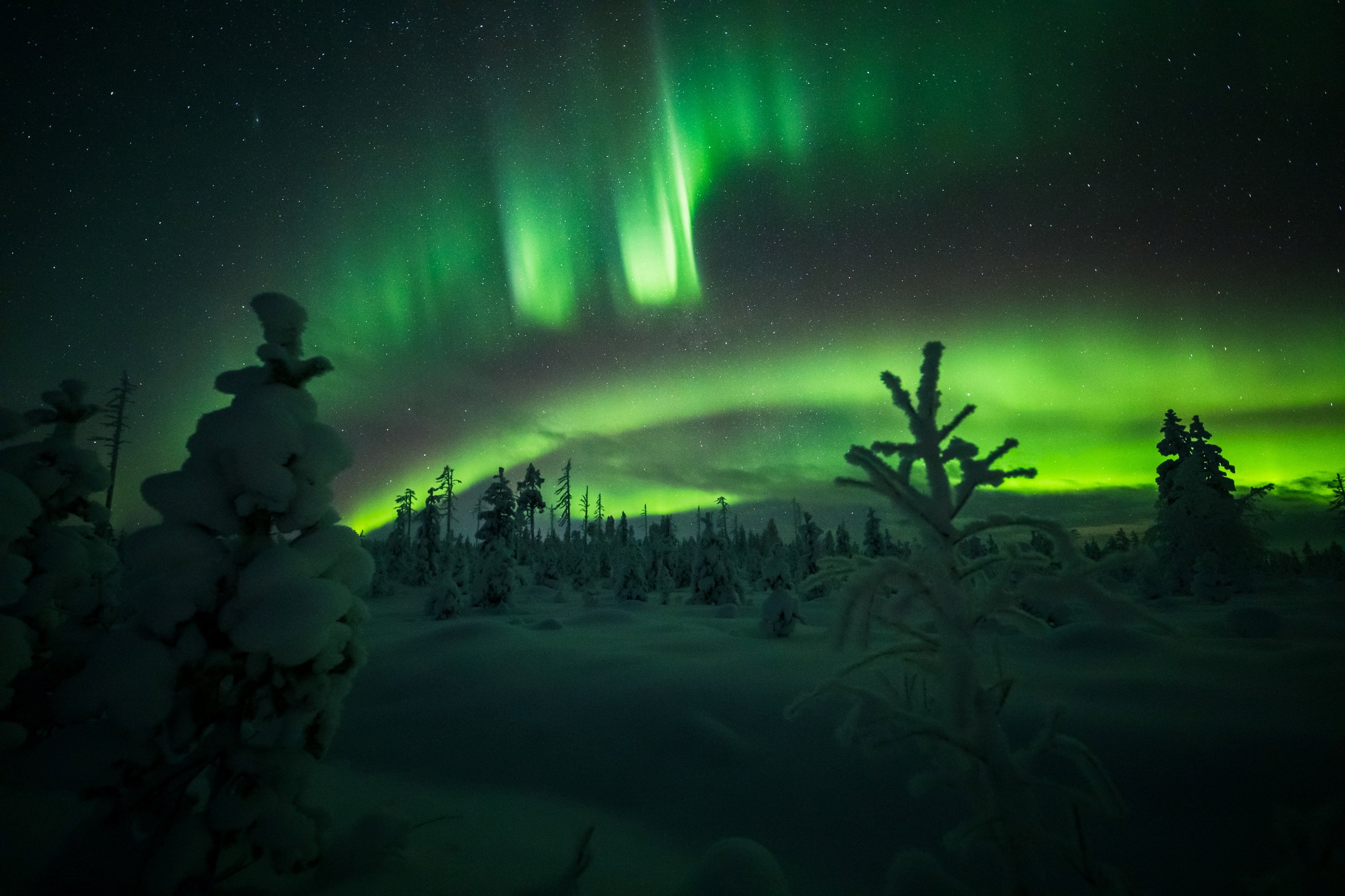 Extrañas formas brillan sobre los bosques nevados y los ríos de la Laponia finlandesa en la noche del 18 al 19 de enero