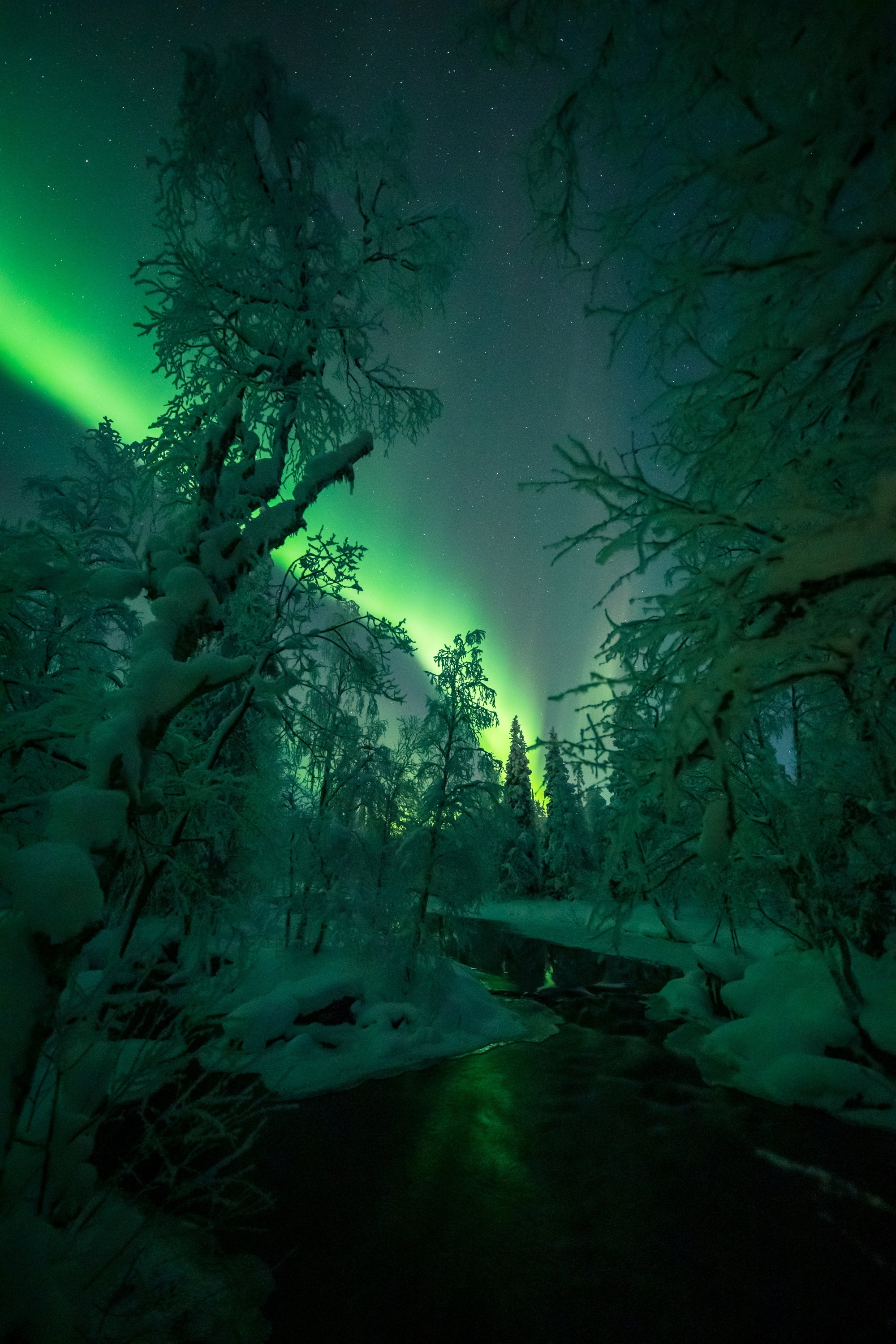 Extrañas formas brillan sobre los bosques nevados y los ríos de la Laponia finlandesa en la noche del 18 al 19 de enero