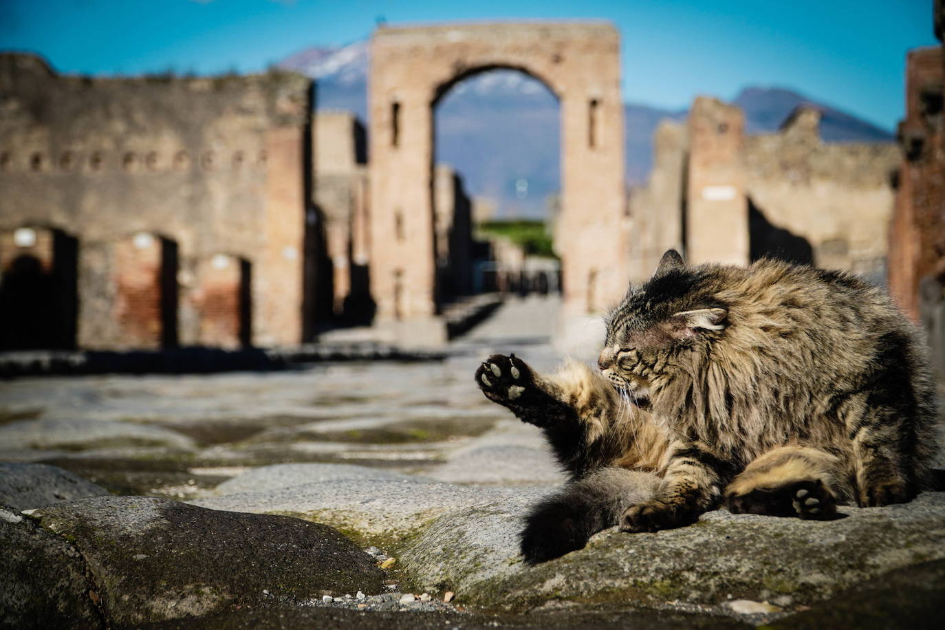 Pompeya ha vuelto a abrir su recinto arqueológico tras semanas clausurado por la pandemia de coronavirus. En los primeros días de apertura, decenas de visitantes se han acercado a disfrutar de este espacio histórico.