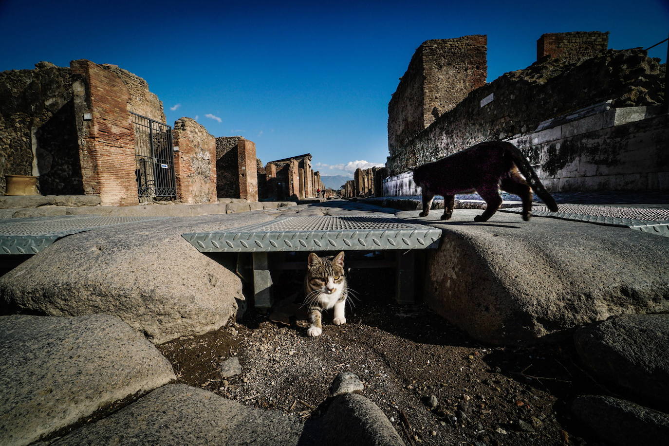 Pompeya ha vuelto a abrir su recinto arqueológico tras semanas clausurado por la pandemia de coronavirus. En los primeros días de apertura, decenas de visitantes se han acercado a disfrutar de este espacio histórico.