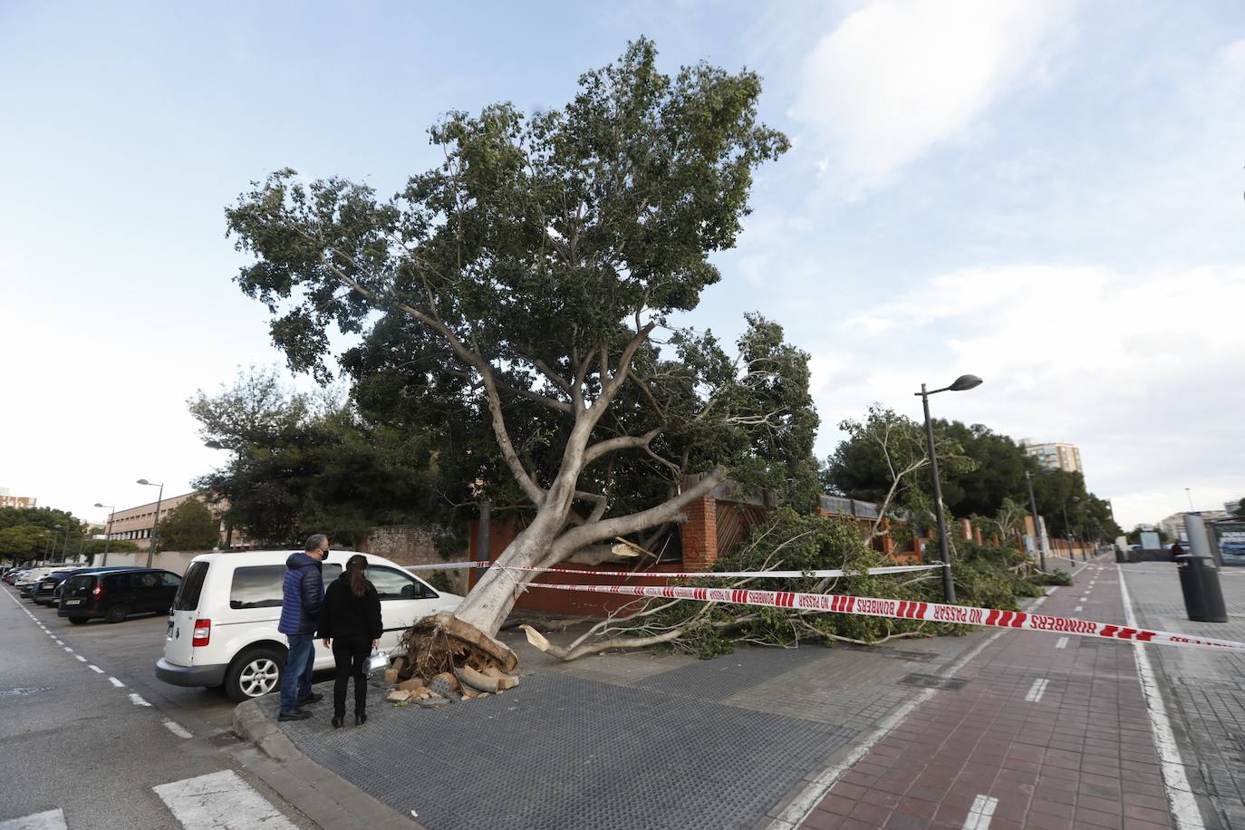 Fotos: &#039;Hortensia&#039; obliga a cerrar parques, jardines y cementerios y provoca incidentes debido a las fuertes rachas de viento