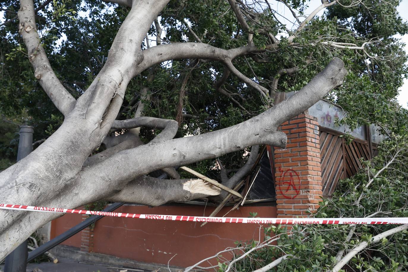 Fotos: &#039;Hortensia&#039; obliga a cerrar parques, jardines y cementerios y provoca incidentes debido a las fuertes rachas de viento