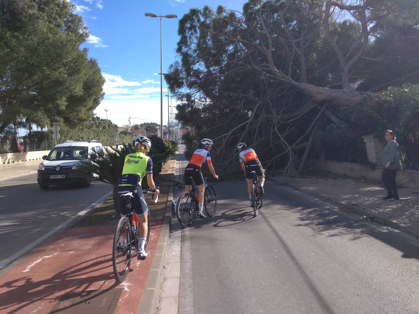 Fotos: &#039;Hortensia&#039; obliga a cerrar parques, jardines y cementerios y provoca incidentes debido a las fuertes rachas de viento