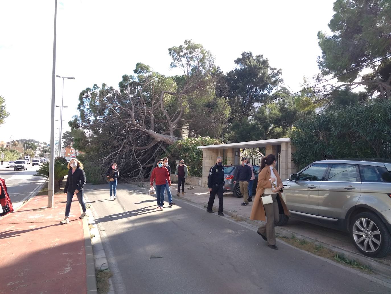 Fotos: &#039;Hortensia&#039; obliga a cerrar parques, jardines y cementerios y provoca incidentes debido a las fuertes rachas de viento