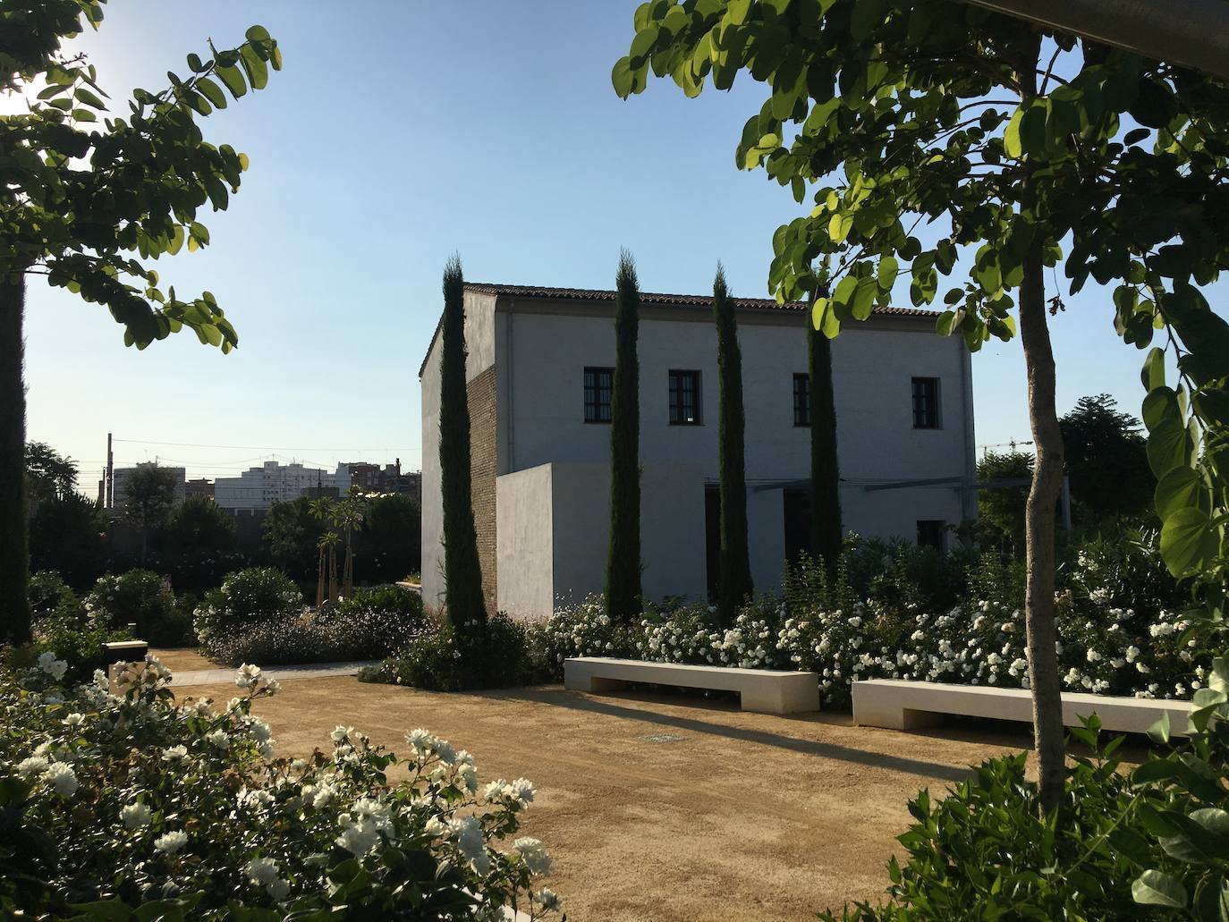 El Parque Central de Valencia es uno de los 11 finalistas al premio Rosa Barba de la undécima bienal de paisaje de Barcelona, uno de los certámenes de paisajismo «más prestigiosos». Así, competirá con otros diez finalistas de todo el mundo, entre ellos jardines de Shangai, Lisboa, Medellín, Brooklyn o Bangkok, entre otros. También el jardín de la plaza de Amparo Arce, en Benimaclet, se encuentra entre los jardines que han concurrido al premio. El jurado del premio ha valorado que el Parque Central es uno de los proyectos urbanos y de infraestructura «más importantes de la ciudad» y que, a su finalización, «se convertirá en uno de los pulmones verdes de la ciudad puesto que conectará barrios que hasta ahora estaban separados por las vías del tren». El jurado de la bienal también ha valorado la utilización del agua como «eje vertebrador» de todo el jardín, según ha indicado el Ayuntamiento de Valencia en un comunicado.