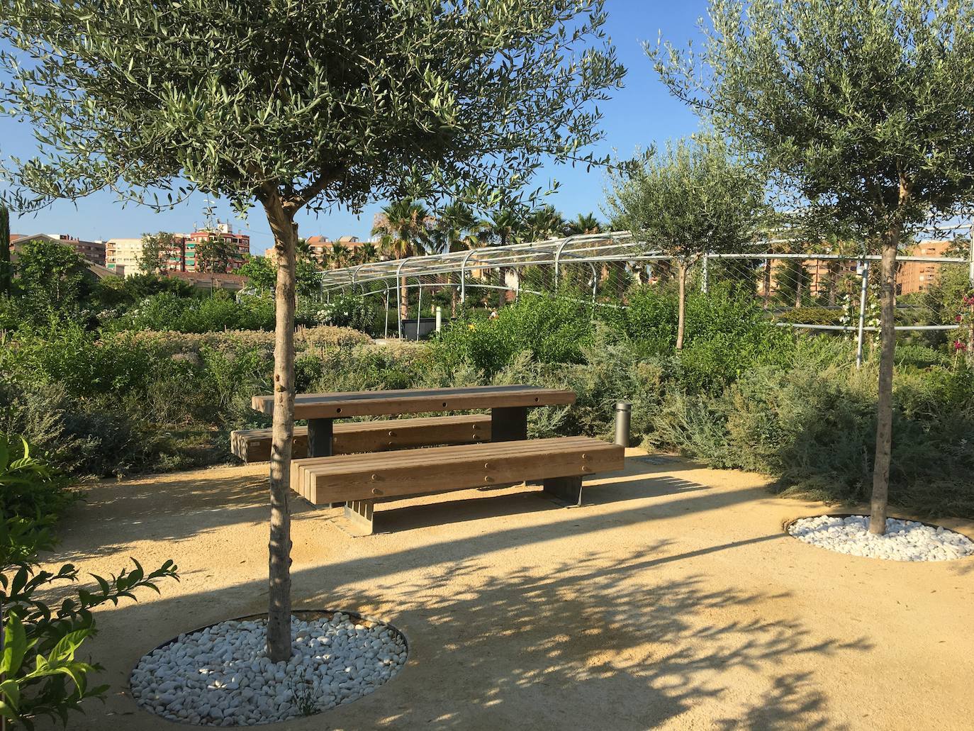 El Parque Central de Valencia es uno de los 11 finalistas al premio Rosa Barba de la undécima bienal de paisaje de Barcelona, uno de los certámenes de paisajismo «más prestigiosos». Así, competirá con otros diez finalistas de todo el mundo, entre ellos jardines de Shangai, Lisboa, Medellín, Brooklyn o Bangkok, entre otros. También el jardín de la plaza de Amparo Arce, en Benimaclet, se encuentra entre los jardines que han concurrido al premio. El jurado del premio ha valorado que el Parque Central es uno de los proyectos urbanos y de infraestructura «más importantes de la ciudad» y que, a su finalización, «se convertirá en uno de los pulmones verdes de la ciudad puesto que conectará barrios que hasta ahora estaban separados por las vías del tren». El jurado de la bienal también ha valorado la utilización del agua como «eje vertebrador» de todo el jardín, según ha indicado el Ayuntamiento de Valencia en un comunicado.