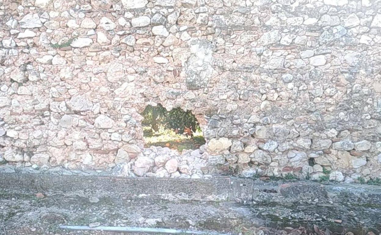 Agujero en el muro de Levante del monasterio de Simat. 