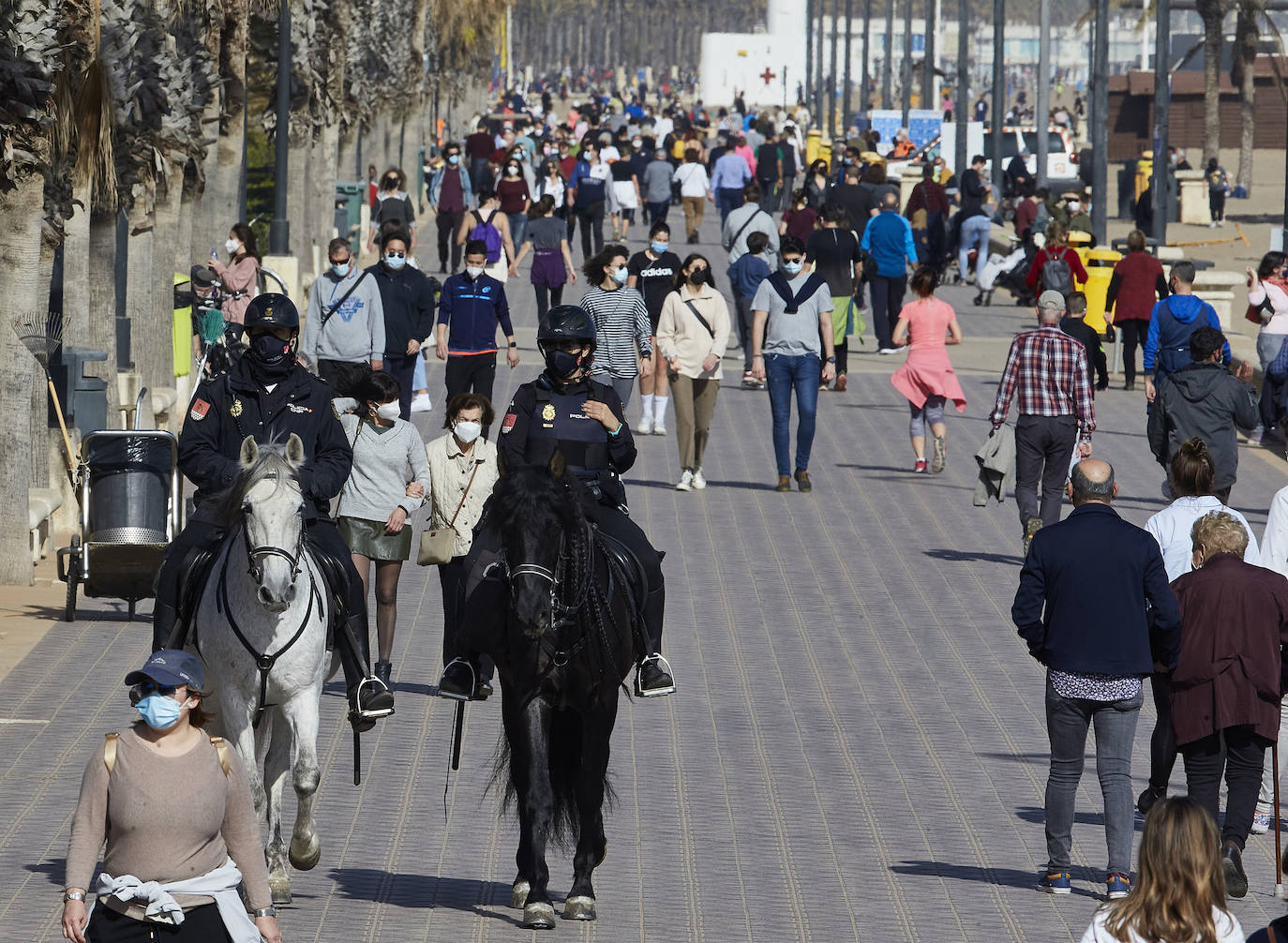 A falta de otras distracciones -los comercios están cerrados y escasean las ofertas de ocio y culturales- los valencianos se han lanzado este fin de semana a los parques, paseos y playas de la ciudad para disfrutar de este fin de semana de restricciones a causa de la pandemia de Covid. Los largos paseos y la práctica de deportes como el running o el surf son ahora las formas preferidas de ocio. 