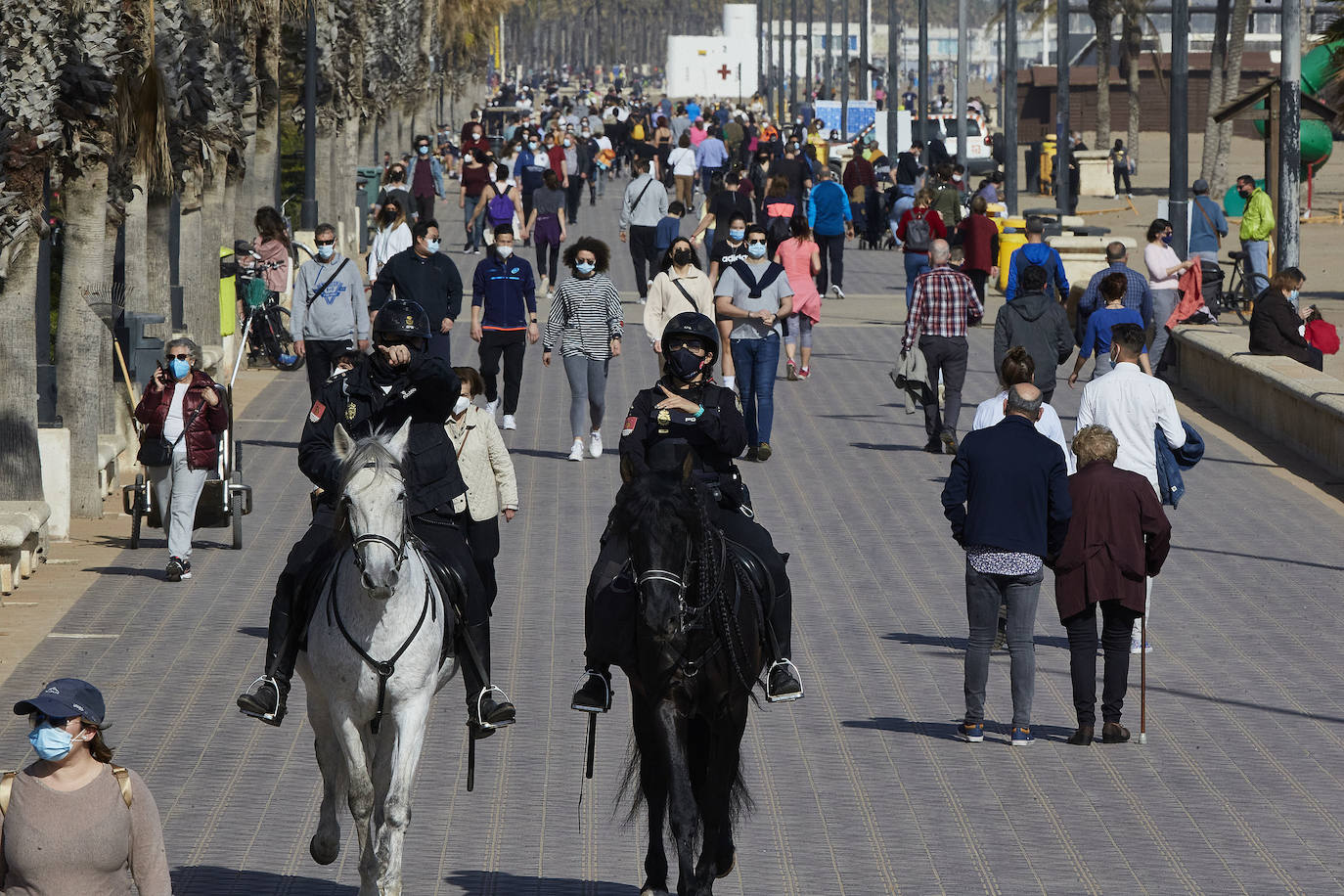 A falta de otras distracciones -los comercios están cerrados y escasean las ofertas de ocio y culturales- los valencianos se han lanzado este fin de semana a los parques, paseos y playas de la ciudad para disfrutar de este fin de semana de restricciones a causa de la pandemia de Covid. Los largos paseos y la práctica de deportes como el running o el surf son ahora las formas preferidas de ocio. 