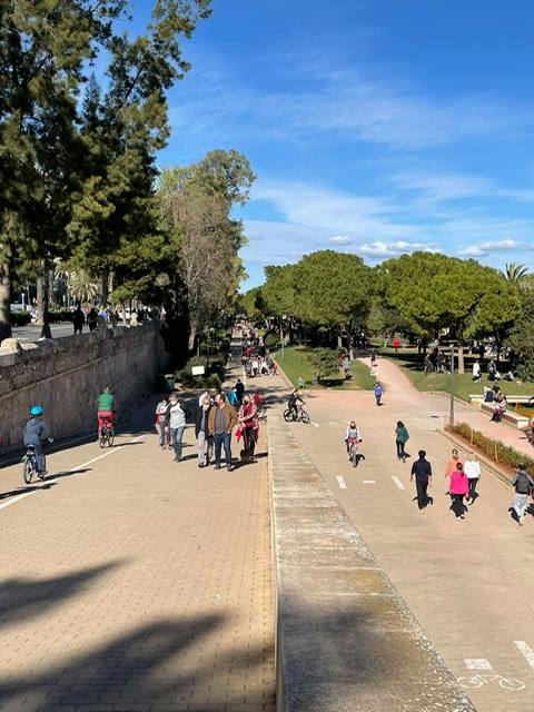 A falta de otras distracciones -los comercios están cerrados y escasean las ofertas de ocio y culturales- los valencianos se han lanzado este fin de semana a los parques, paseos y playas de la ciudad para disfrutar de este fin de semana de restricciones a causa de la pandemia de Covid. Los largos paseos y la práctica de deportes como el running o el surf son ahora las formas preferidas de ocio. 