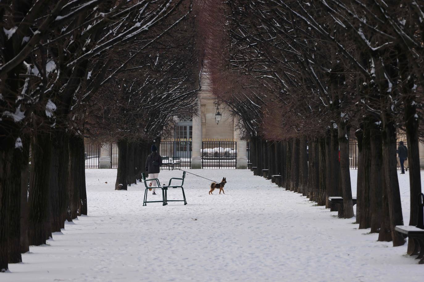 La tormenta Darcy que azota a varios países de Europa provocó que la capital francesa amaneciera con temperaturas bajo cero y con calles e históricos monumentos teñidos de blanco. 