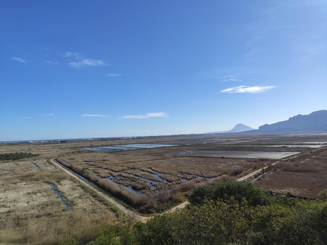 Imagen aérea de parte de la zona de cultivo del parque natural marjal Pego-Oliva. B. Ortolà