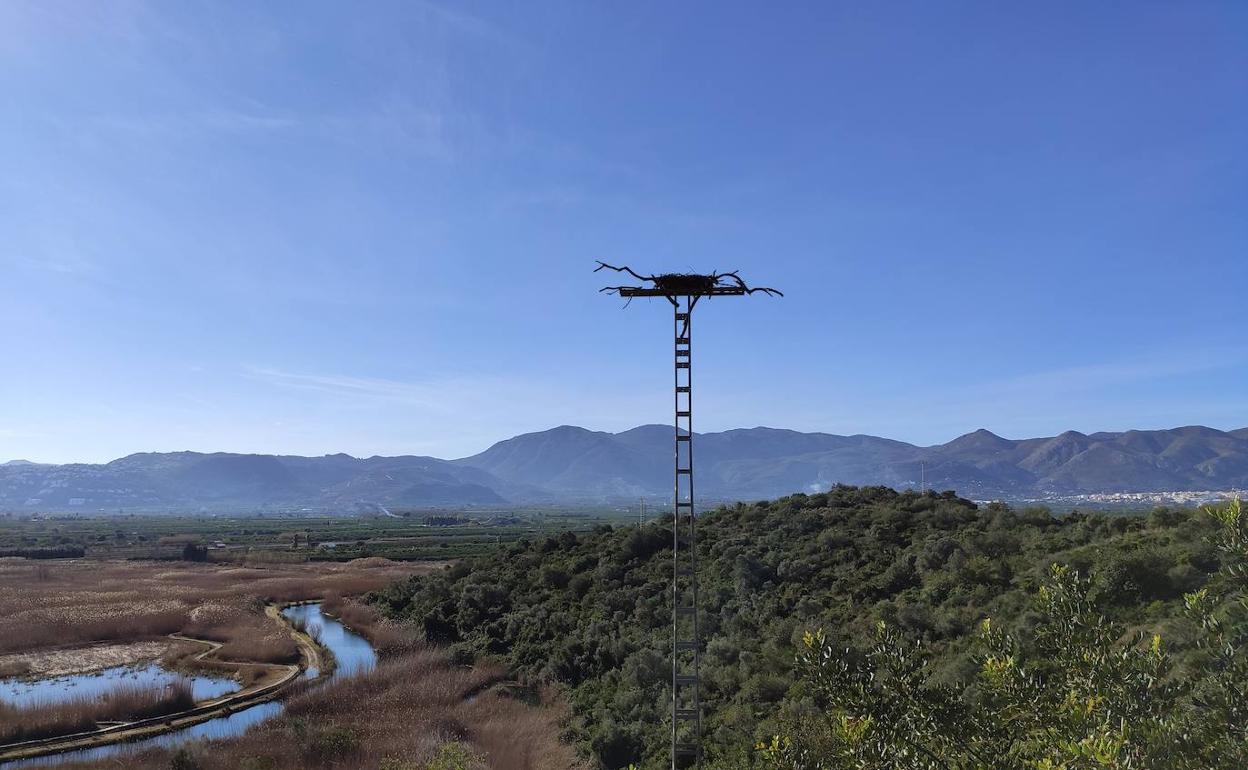 Una de las torres reconvertidas en posadero para las aves rapaces que anidan en el marjal.