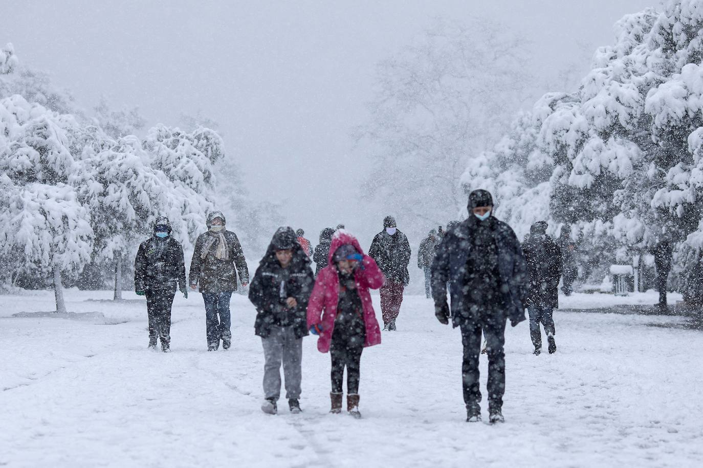 La Acrópolis de Atenas se despertó este martes bajo un manto de nieve al igual que otros monumentos de la antigüedad en la capital griega, ofreciendo un espectáculo excepcional en medio de la ola de frío 'Medea' que afecta al país. El Partenón, el célebre templo del siglo V antes de nuestra era, en lo alto del peñasco en el centro histórico, apenas podía verse a raíz de la nieve que cayó en la noche.