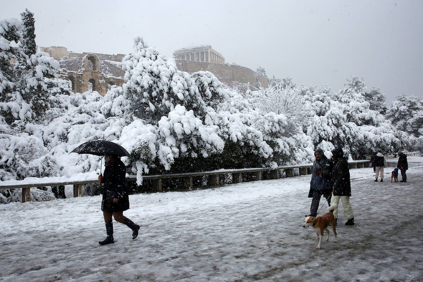 La Acrópolis de Atenas se despertó este martes bajo un manto de nieve al igual que otros monumentos de la antigüedad en la capital griega, ofreciendo un espectáculo excepcional en medio de la ola de frío 'Medea' que afecta al país. El Partenón, el célebre templo del siglo V antes de nuestra era, en lo alto del peñasco en el centro histórico, apenas podía verse a raíz de la nieve que cayó en la noche.