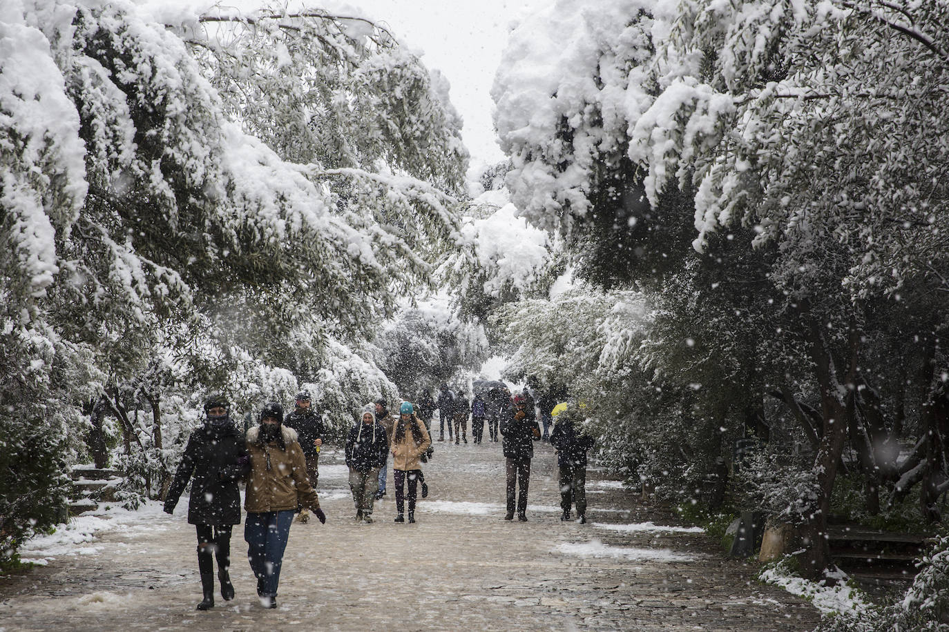 La Acrópolis de Atenas se despertó este martes bajo un manto de nieve al igual que otros monumentos de la antigüedad en la capital griega, ofreciendo un espectáculo excepcional en medio de la ola de frío 'Medea' que afecta al país. El Partenón, el célebre templo del siglo V antes de nuestra era, en lo alto del peñasco en el centro histórico, apenas podía verse a raíz de la nieve que cayó en la noche.