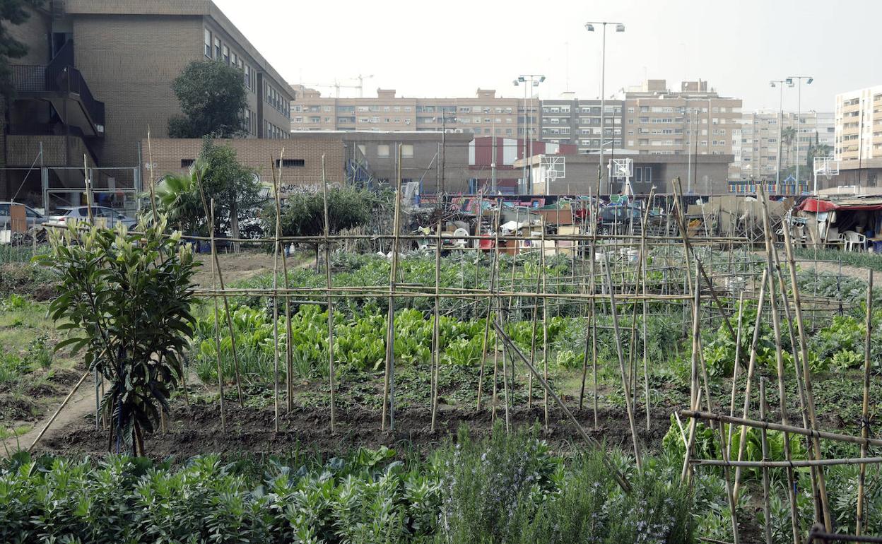 Algunos de los campos de Benimaclet, que tienen la condición de urbanizables. 