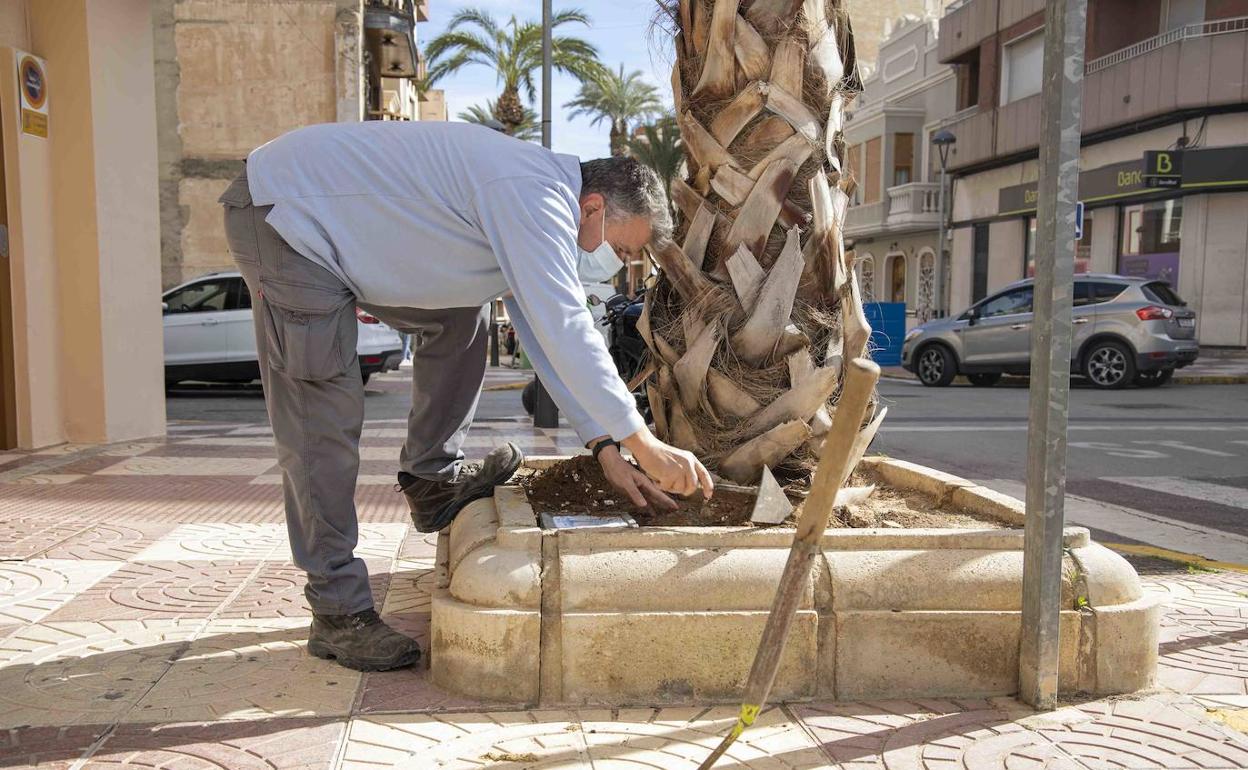 Un operario colocando uno de los azulejos en una palmera. 