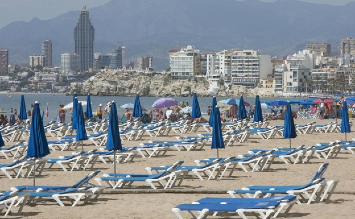 Hamacas en la playa de Benidorm el pasado verano. 