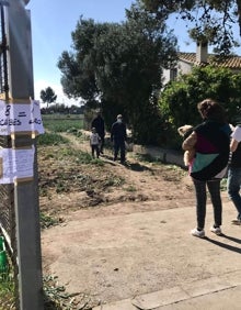 Imagen secundaria 2 - Los vecinos recogiendo las cebollas durante estos días. 