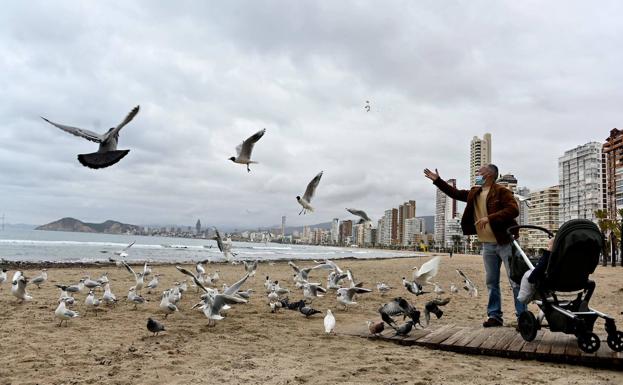 Playa en Benidorm, esta semana. 