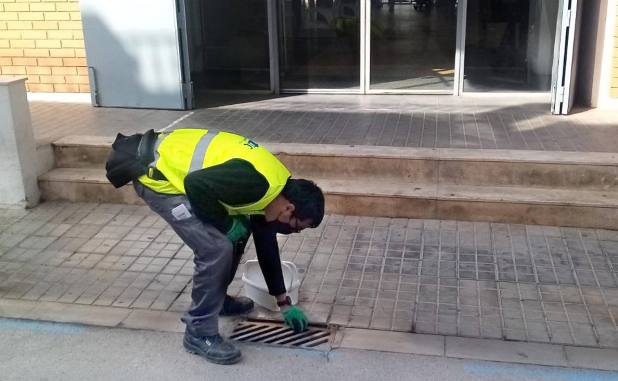 Un trabajador aplica el tratamiento. 