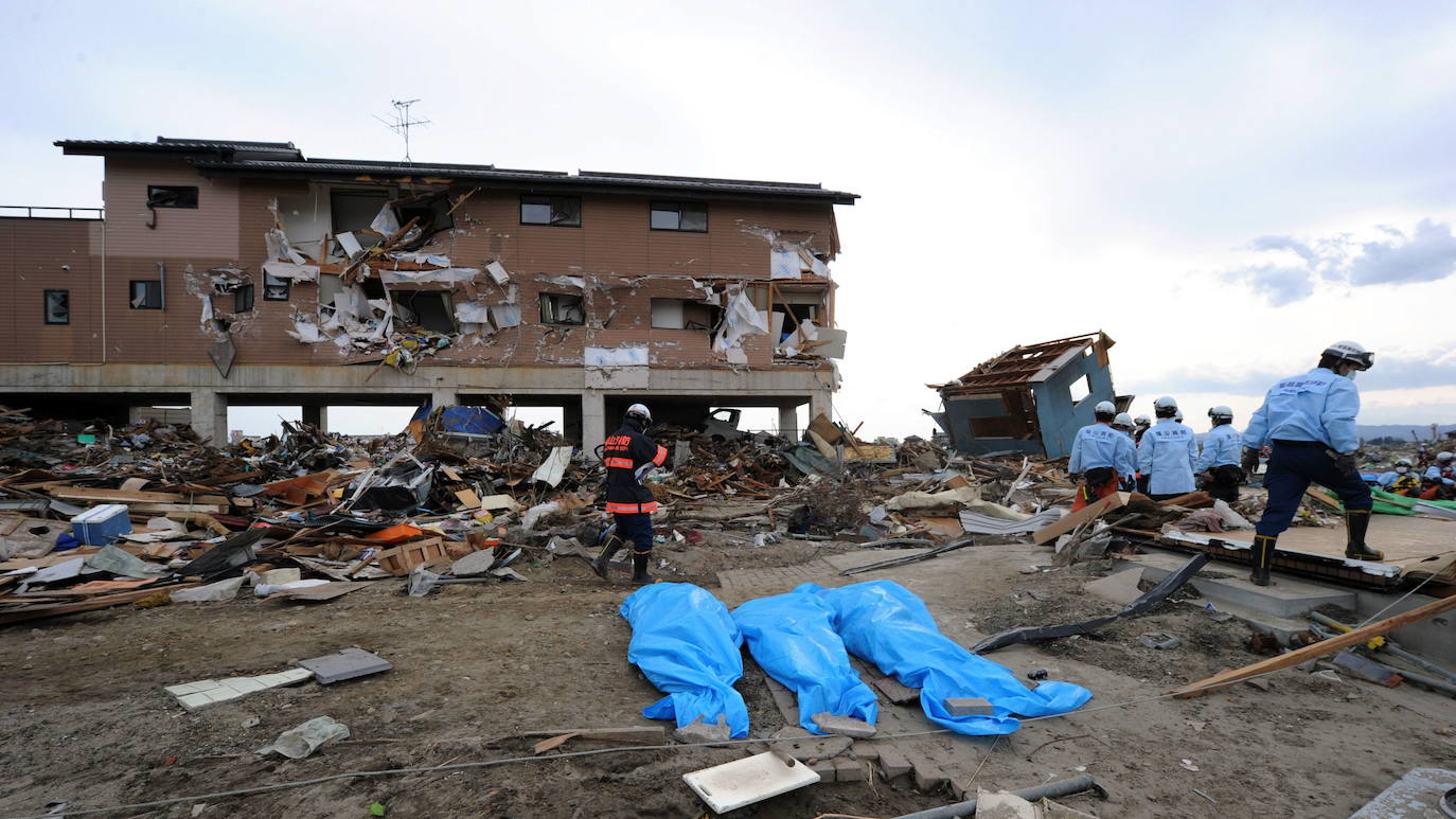 El 11 de marzo de 2011, un terremoto de magnitud 9 desató un tsunami que arrasó la costa nororiental de Japón, dejando más de 22.000 muertos y desaparecidos y provocando en la central de Fukushima 1 el peor accidente nuclear desde Chernóbil. Con olas de hasta 40 metros, el tsunami arrastró todo lo que encontró a su paso en cientos de kilómetros.