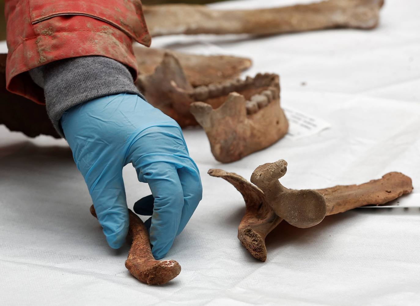 Es el descubrimiento uno de los esqueletos mejor conservados de prehistoria que tiene más de 11.700 años. Bautizado como 'el hombre de Loizu', sus restos han estado durante casi doce milenios resguardados en una cueva cerca de la localidad navarra de Erro, donde este viernes ha sido presentado como «un hallazgo excepcional». Los detalles han sido explicados in situ, en la entrada de la angosta cueva del concejo de Aintzioa-Loizu, por los expertos del equipo interdisciplinar que trabajan en la investigación en un acto al que ha acudido también la presidenta del Gobierno de Navarra, María Chivite.