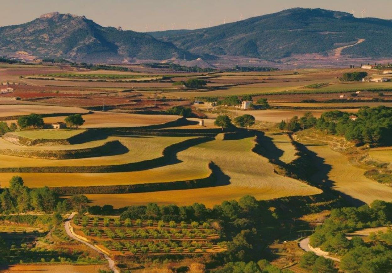 Valores. Paisaje agrario de Les Alcusses de Moixent, cuya belleza le ha hecho merecedor del sobrenombre de 'La Toscana valenciana' y debería estar protegido. 