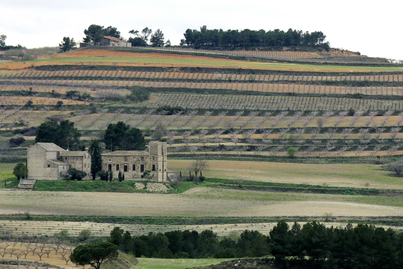 Los términos de Moixent, La Font de la Figuera y Fontanars dels Alforins aglutinan una distinguida concentración de masías históricas y campos de vid, cereal, almendros, olivos y frutales que forman un mosaico sin parangón y se intercalan con núcleos de pinada y serpenteantes caminos que se adentran entre parcelas, ribeteados de cipreses. Este rincón valenciano, conocido como les Terres dels Aforins y que guarda en su centro el valle de Les Alcusses, está repleto de belleza y encantos, que le hicieron merecer hace tiempo el sobrenombre de la 'Toscana valenciana'.