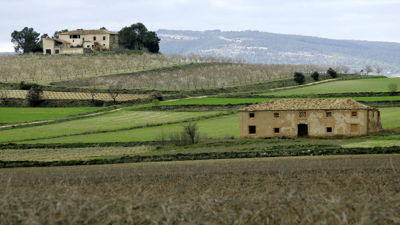 Los términos de Moixent, La Font de la Figuera y Fontanars dels Alforins aglutinan una distinguida concentración de masías históricas y campos de vid, cereal, almendros, olivos y frutales que forman un mosaico sin parangón y se intercalan con núcleos de pinada y serpenteantes caminos que se adentran entre parcelas, ribeteados de cipreses. Este rincón valenciano, conocido como les Terres dels Aforins y que guarda en su centro el valle de Les Alcusses, está repleto de belleza y encantos, que le hicieron merecer hace tiempo el sobrenombre de la 'Toscana valenciana'.