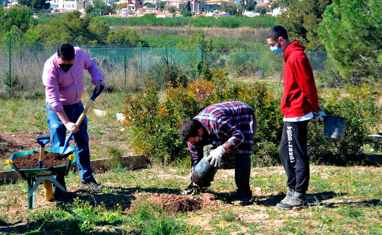 Varios alumnos plantando árboles.