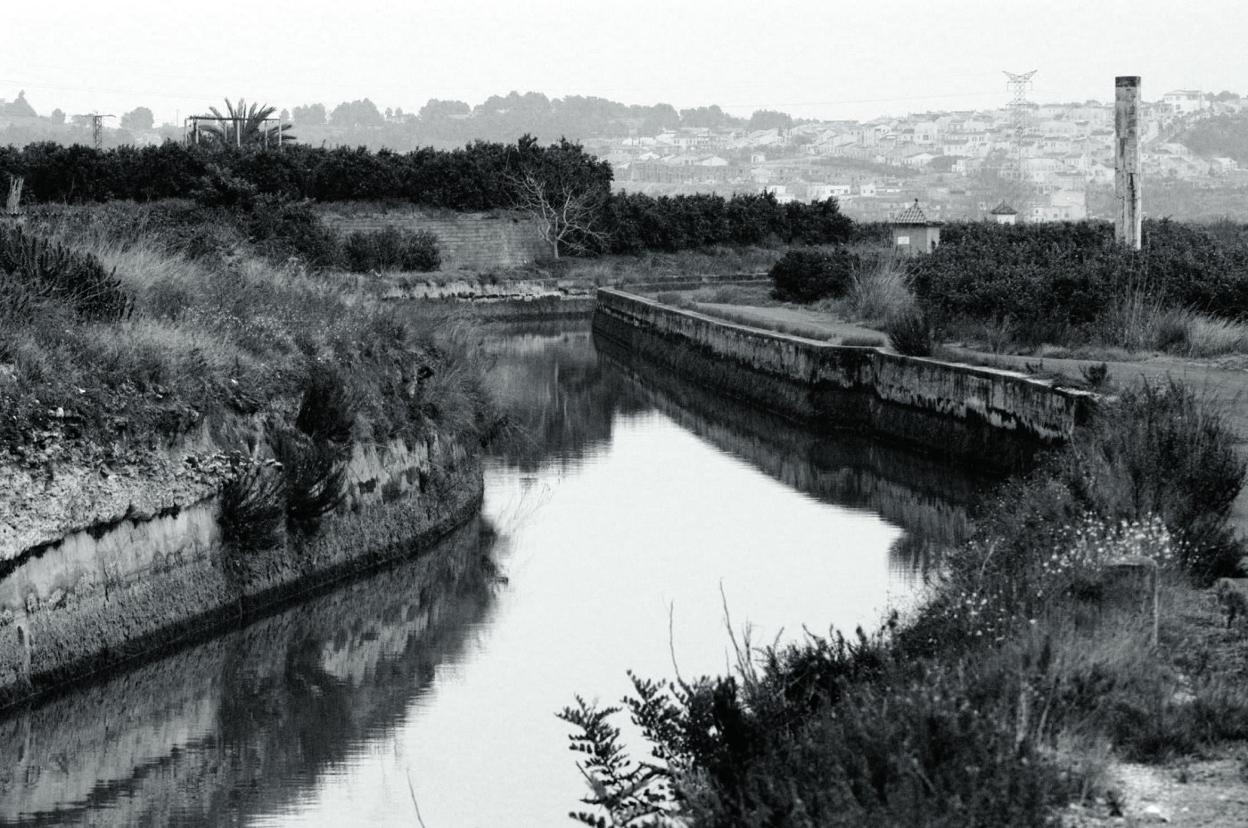 La modernización y la Albufera