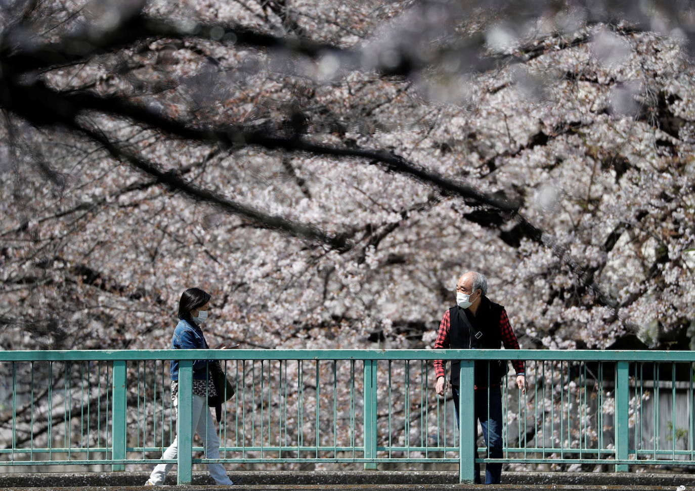 Con la primavera llega el 'Sakura' a Tokio, y a otros lugares del mundo. O lo que es lo mismo: la floración de los cerezos. Los colores que regalan hacen de Japón uno de los destinos turísticos preferidos por los viajeros