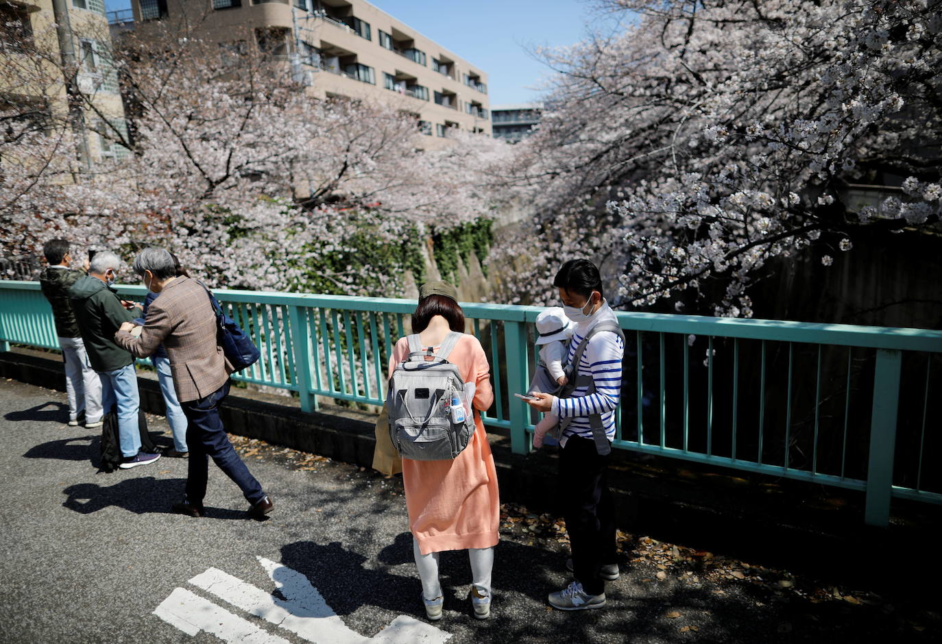 Con la primavera llega el 'Sakura' a Tokio, y a otros lugares del mundo. O lo que es lo mismo: la floración de los cerezos. Los colores que regalan hacen de Japón uno de los destinos turísticos preferidos por los viajeros