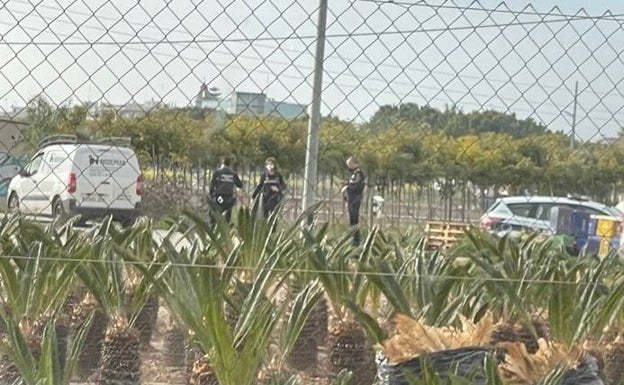 Galería. La Policía Local de Valencia retira los perros. 