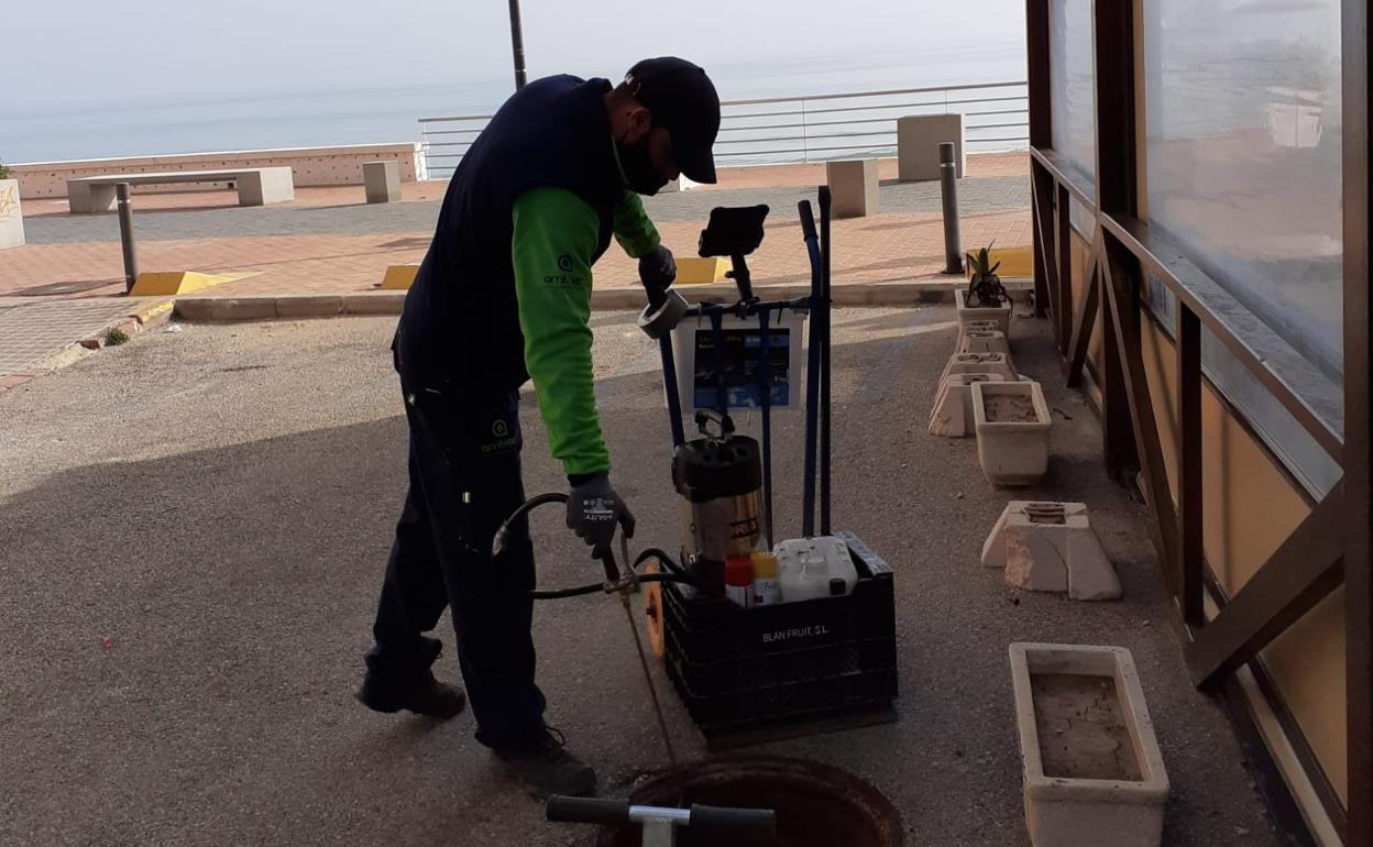 Trabajos en el paseo marítimo. 
